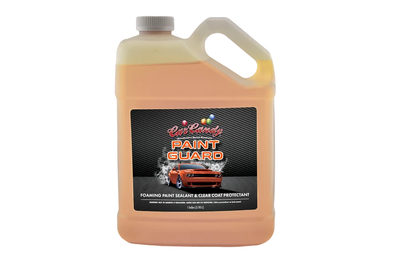 Paint Guard