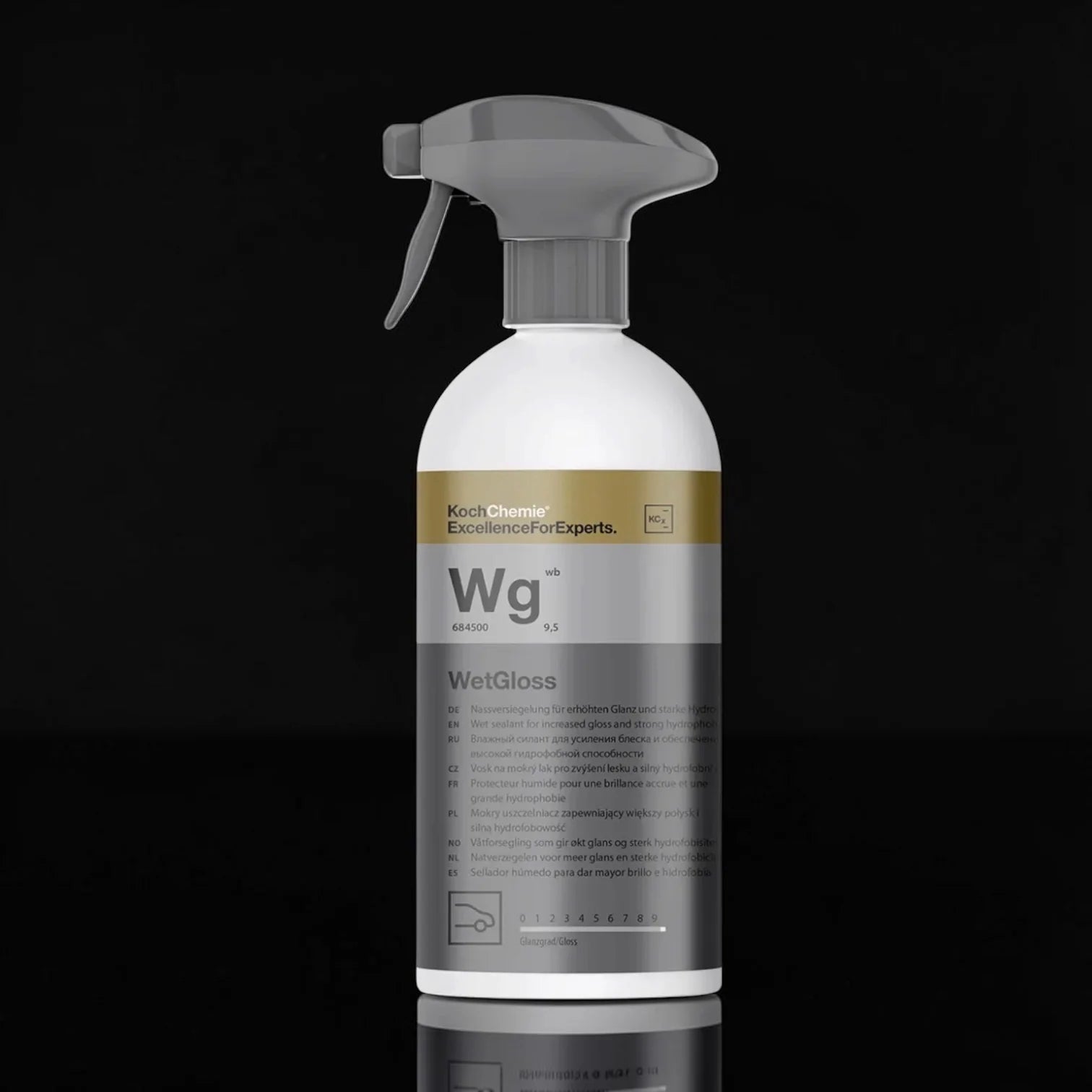 Wet Gloss